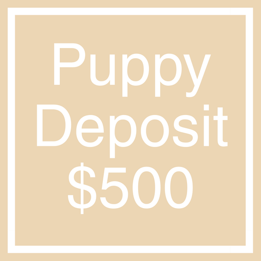 Deposit for April x Pip Litter